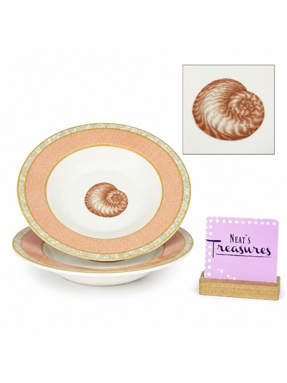 Victoria & Beale ATLANTIS Porcelain Peach Band Shell Centen Rim Soup Bowls Set 2